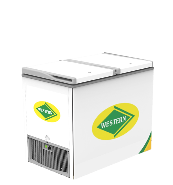 Deep Freezer Combi Deep Freezer in Raipur Chhattisgarh